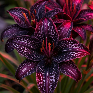 Лилейник Вояж купить по цене от 699р. в интернет-магазине «Посадика» с доставкой почтой в в Полевскойе и по всей России – [изображение №1].